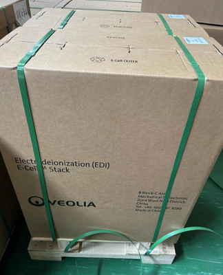 流量 5.0 M3/H ベオリア スエズ EDI モジュール E-Cell-3X スエズ 超純水供給