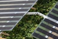 プロ インバーターが付いている格子太陽電池パネルの平屋根の土台システムを離れた1つのKw